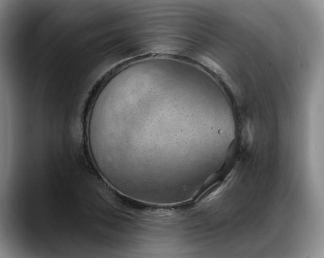 X0000088491027200705291643