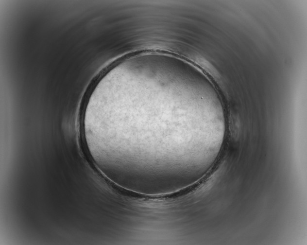 X0000088491028200705291643