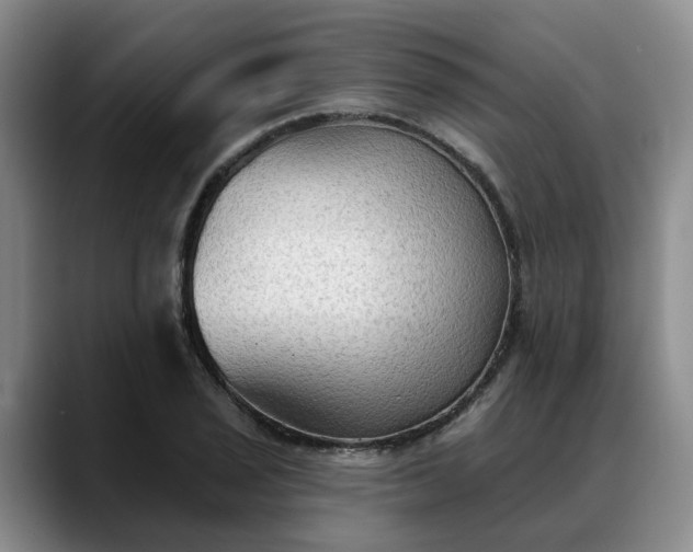 X0000088491029200705291643