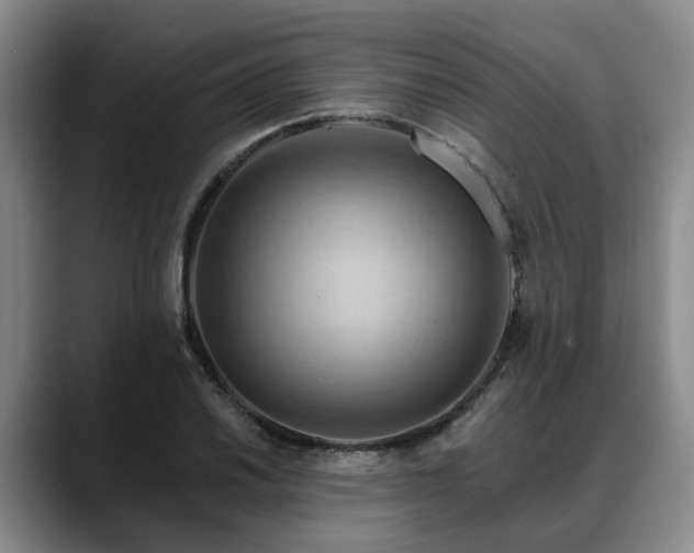 X0000088491030200705291643