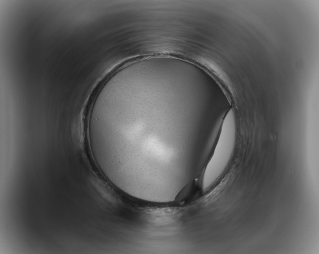 X0000088491031200705291643
