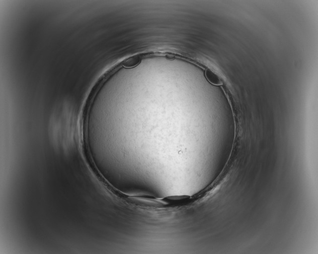 X0000088491032200705291643