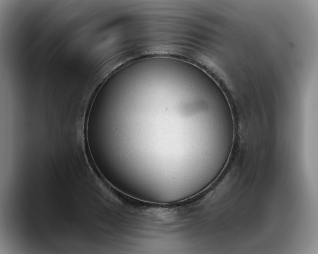 X0000088491033200705291643