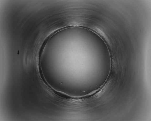 X0000088491035200705291643