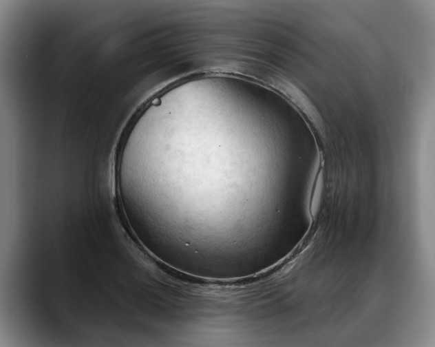 X0000088491036200705291643