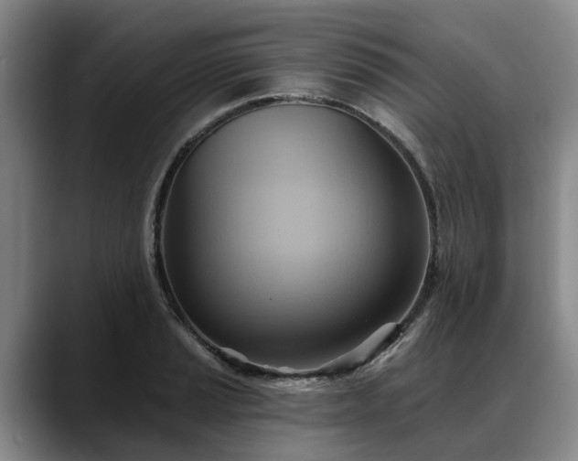 X0000088491037200705291643