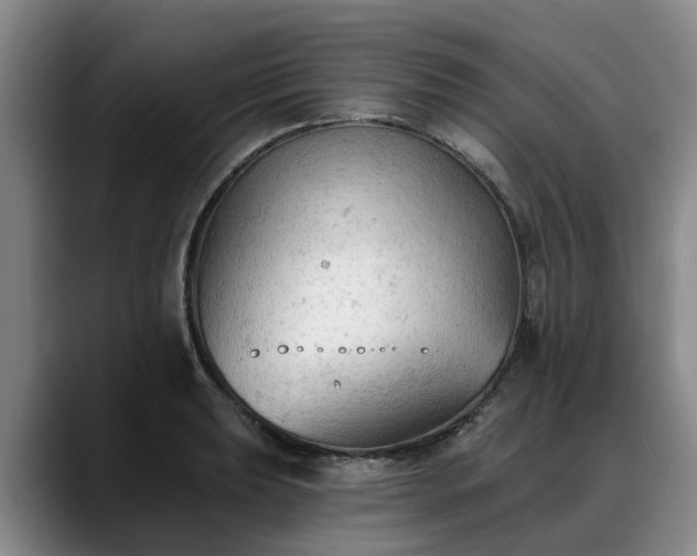 X0000088491039200705291643