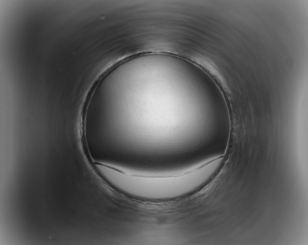 X0000088491040200705291643