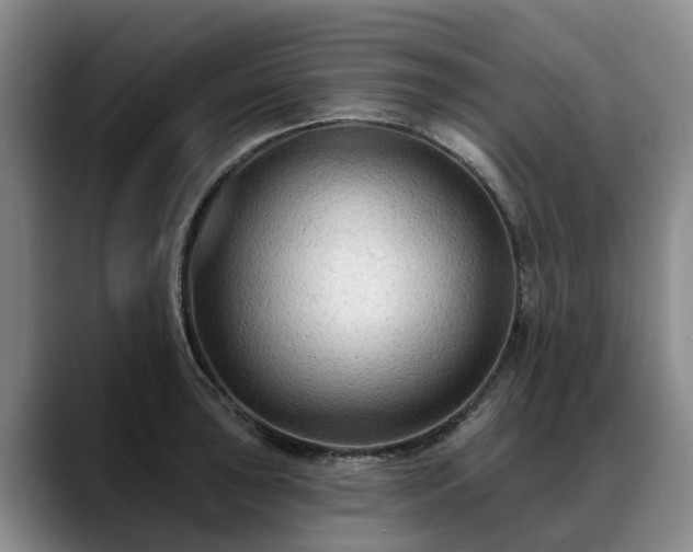 X0000088491043200705291643