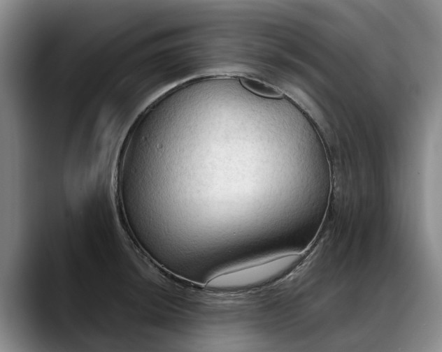 X0000088491044200705291643