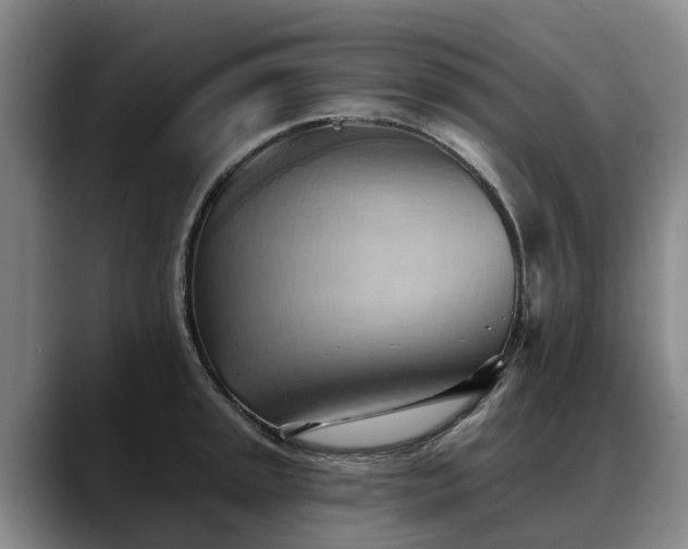 X0000088491045200705291643