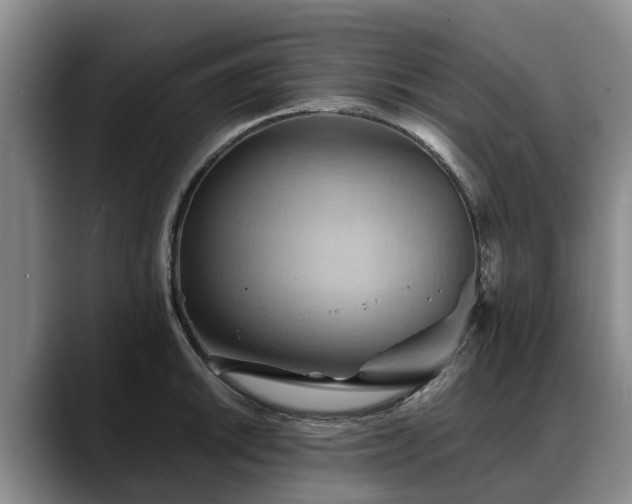 X0000088491046200705291643