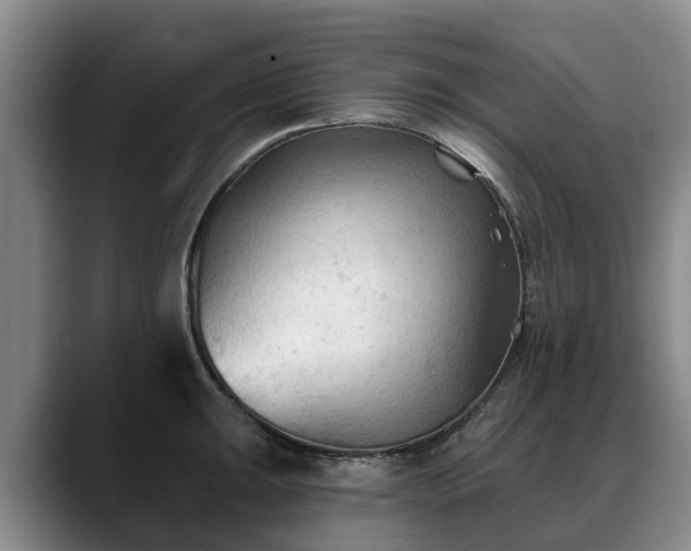 X0000088491047200705291643