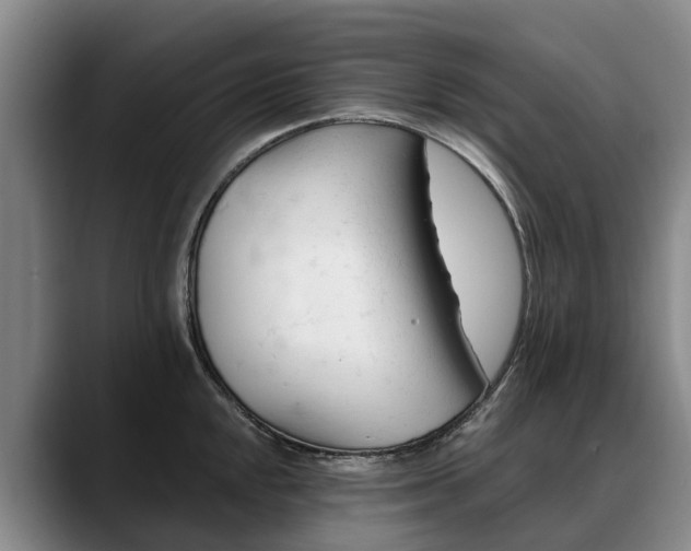 X0000088491048200705291643