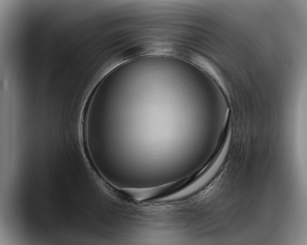 X0000088491050200705291643