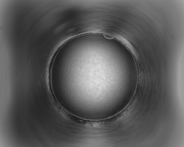 X0000088491051200705291643