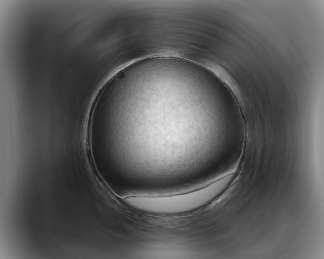 X0000088491052200705291643