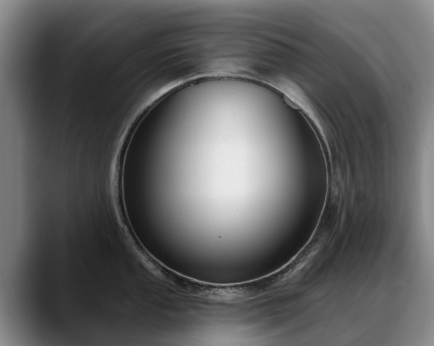 X0000088491053200705291644