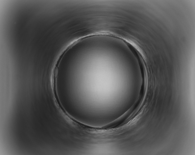 X0000088491054200705291644