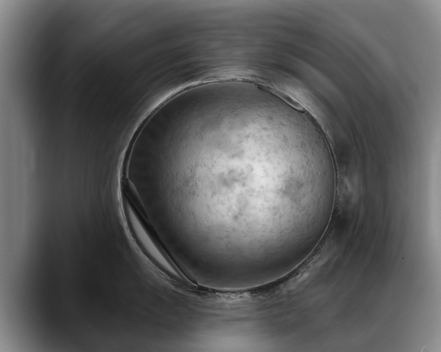 X0000088491055200705291644