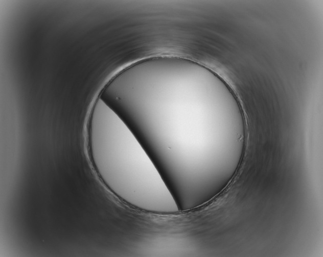 X0000088491056200705291644
