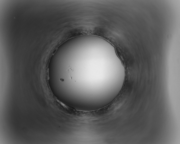 X0000088491057200705291643