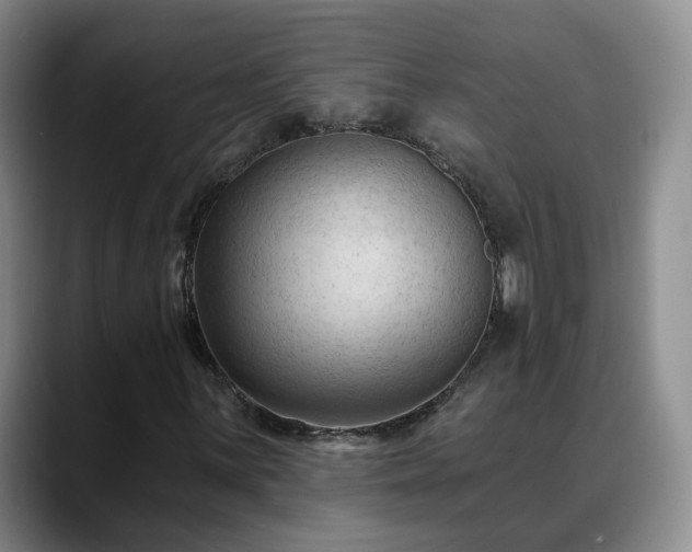 X0000088491059200705291643