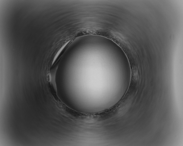 X0000088491060200705291643
