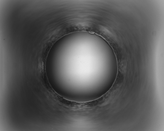X0000088491061200705291643