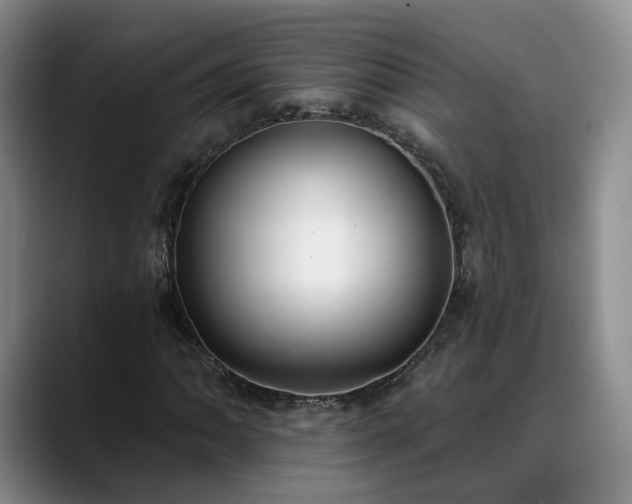 X0000088491062200705291643