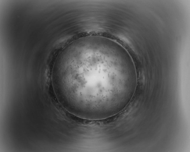 X0000088491063200705291643