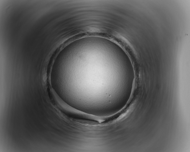 X0000088491065200705291643