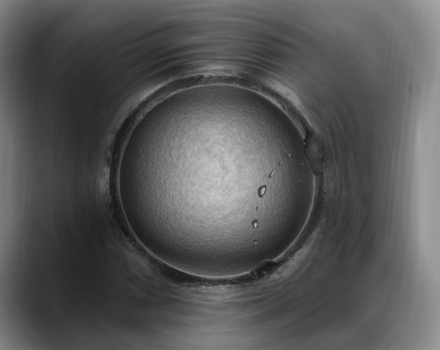 X0000088491066200705291643