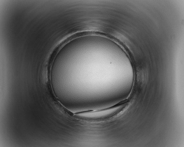 X0000088491069200705291643