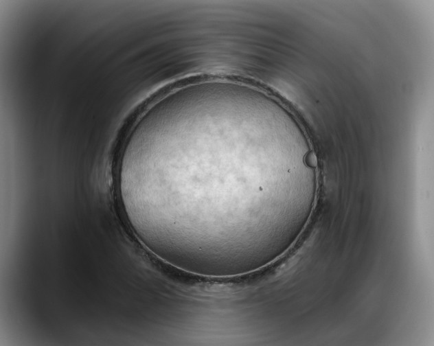 X0000088491070200705291643