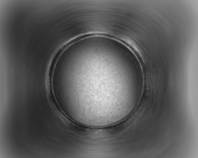 X0000088491072200705291643