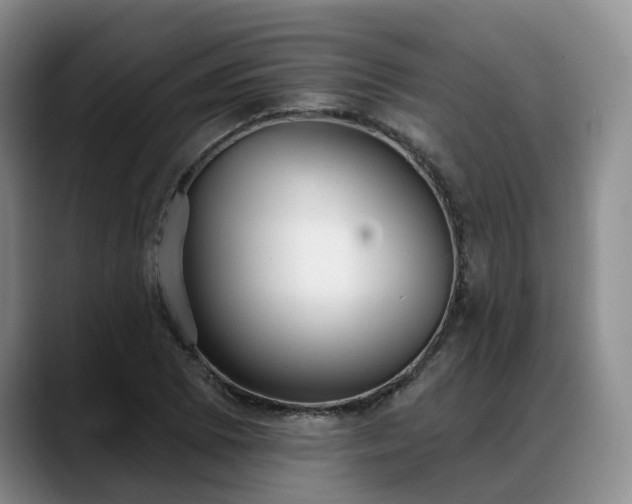 X0000088491073200705291643