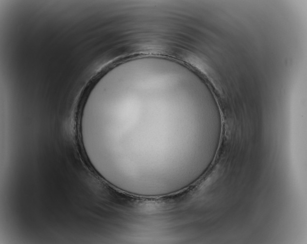 X0000088491074200705291643
