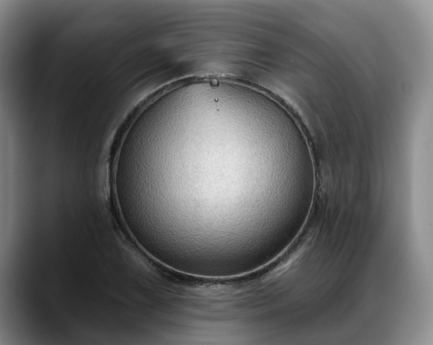 X0000088491075200705291643