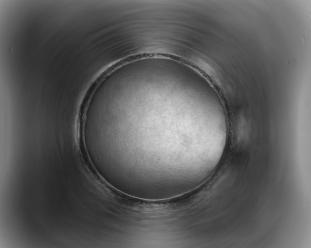 X0000088491076200705291643