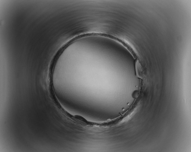 X0000088491077200705291643