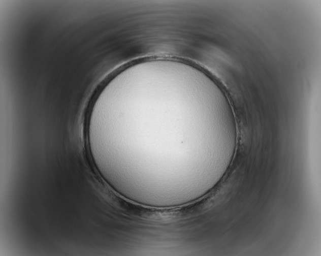 X0000088491078200705291643