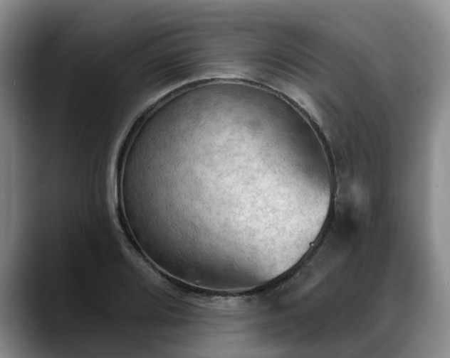X0000088491080200705291643