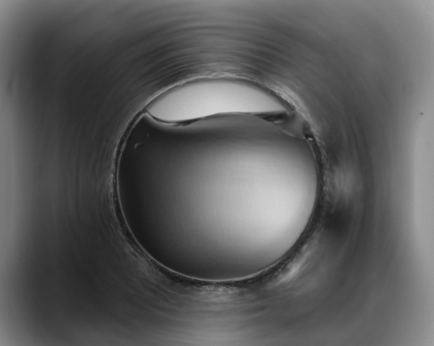 X0000088491081200705291643