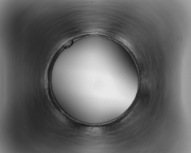 X0000088491082200705291643