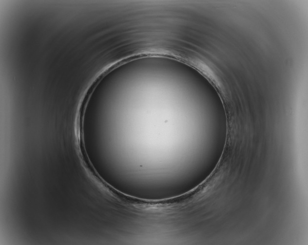 X0000088491084200705291643