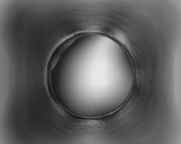 X0000088491085200705291643