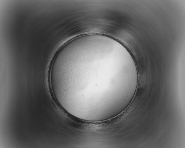 X0000088491086200705291643