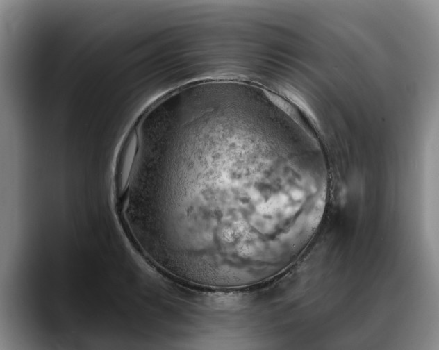 X0000088491087200705291643