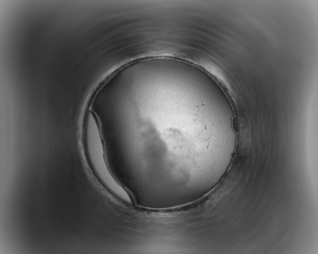 X0000088491088200705291643